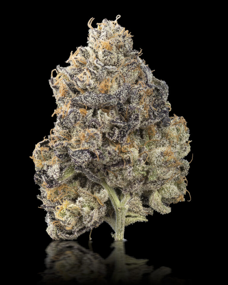Emergen-C (HFH-11) by Greenmont Craft Cannabis Co., Flower: Hybrid Fourth Place Winner in the Homegrow Track of the Fourth Annual Headies Cup, May 2023.