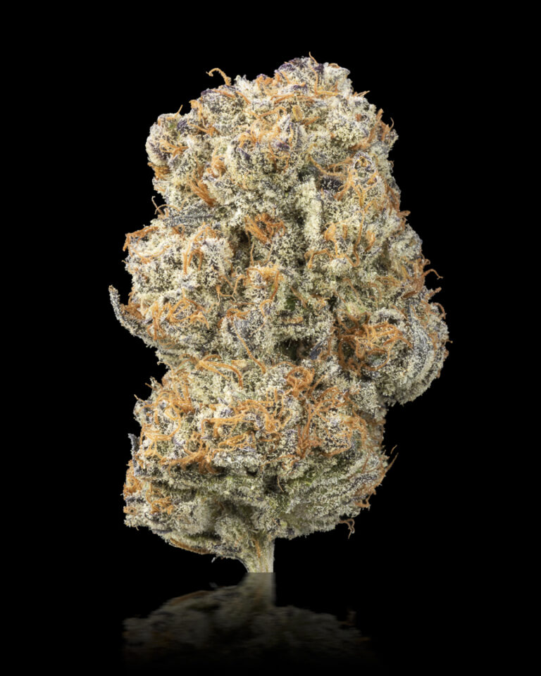 XXX (HFH-5) by Greenmont Craft Cannabis Co., Flower: Hybrid Seventh Place Winner in the Homegrow Track of the Fourth Annual Headies Cup, May 2023.